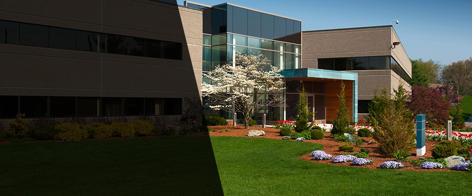Meadowview Landscapers
