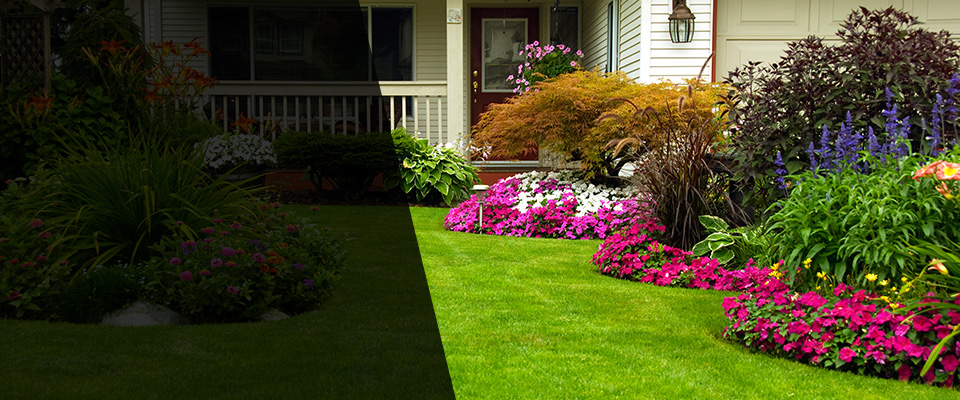Meadowview Landscapers