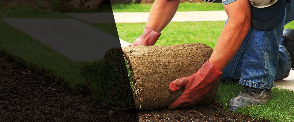 Meadowview Landscapers